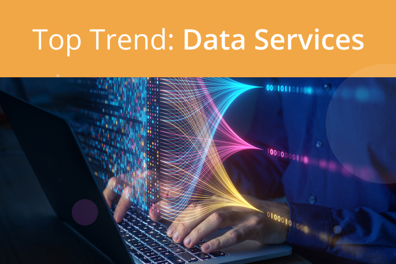 The Rise of Data Services for Unstructured Data Management