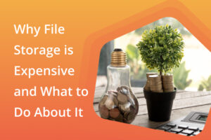 Why File Storage is Expensive and what to do about it